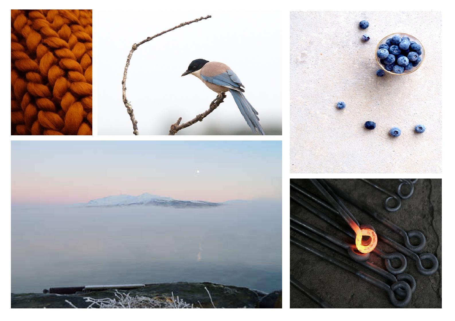 Moodboard modern industrieel Moodboard modern industrieel. mistig uitzicht, vogel met blauw en zandkleuren, betonnen aanrechtblad met blauwe bessen, heet staal met oranje gloed, gebreide deken in roest oranje kleur